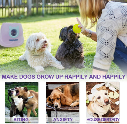 automatic dog ball launcher tennis ball thrower machine, package contents
