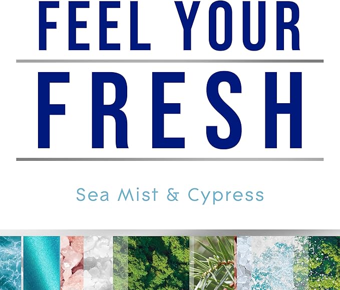 Glade 3-Wick Scented Candle Jar, Sea Mist & Cypress, Air Freshener Infused - Image 2