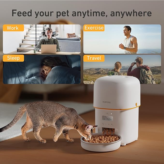 Automatic Cat Feeders - 2L Cat Food Dispenser Easy to Use - Image 9