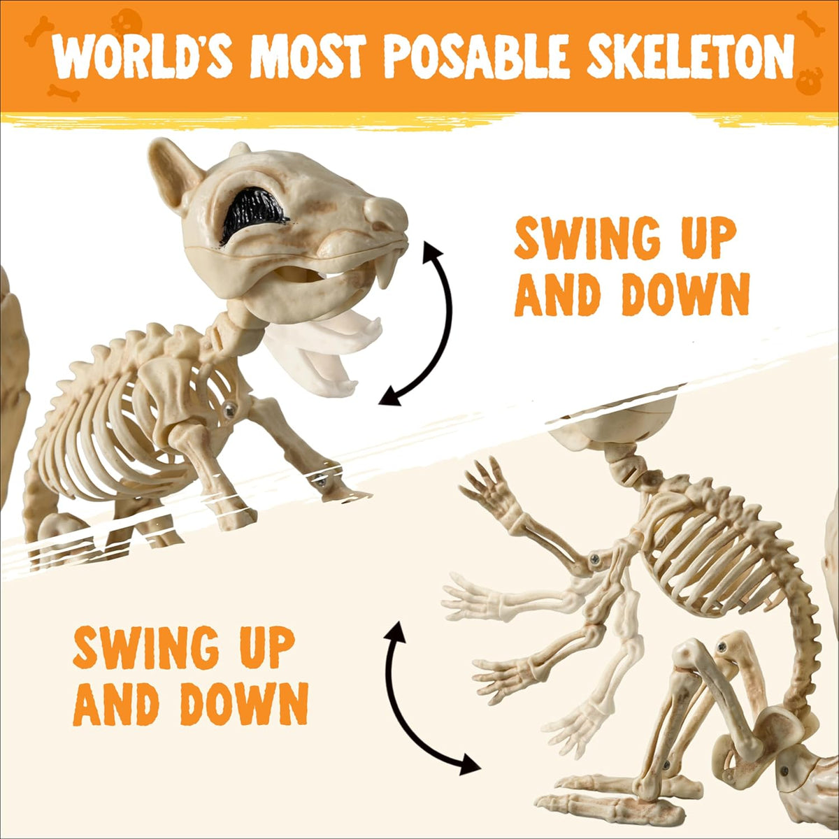 JOYIN Squirrel Skeleton Halloween Decoration 9.1 Inch Animal Posable Skeleton...