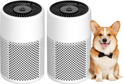 air purifiers for bedroom home, true hepa filter, main product view