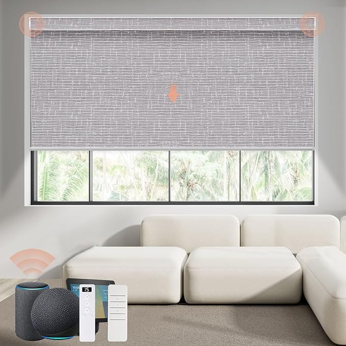 Motorized Blinds Roller Shade by Canisteo