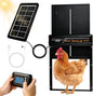 Automatic Chicken Coop Door Solar Powered by Innvello