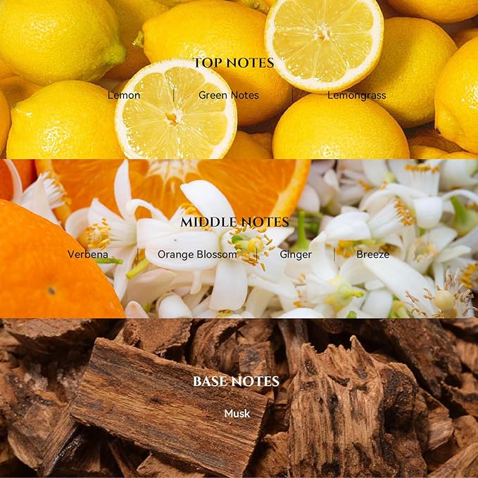 AROMADD 24K Celestia Diffuser Oil Inspired by Luxury Hotel Scent 3.38 Fl Oz - Image 2