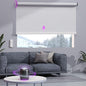 Astomi Motorized Roller Shades for Windows, Smart Blinds, Voice Control by Astomi
