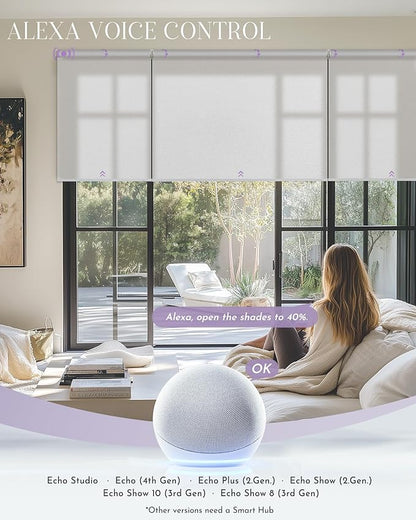 Graywind Smart Coupled Roller Shades Compatible - Image 3