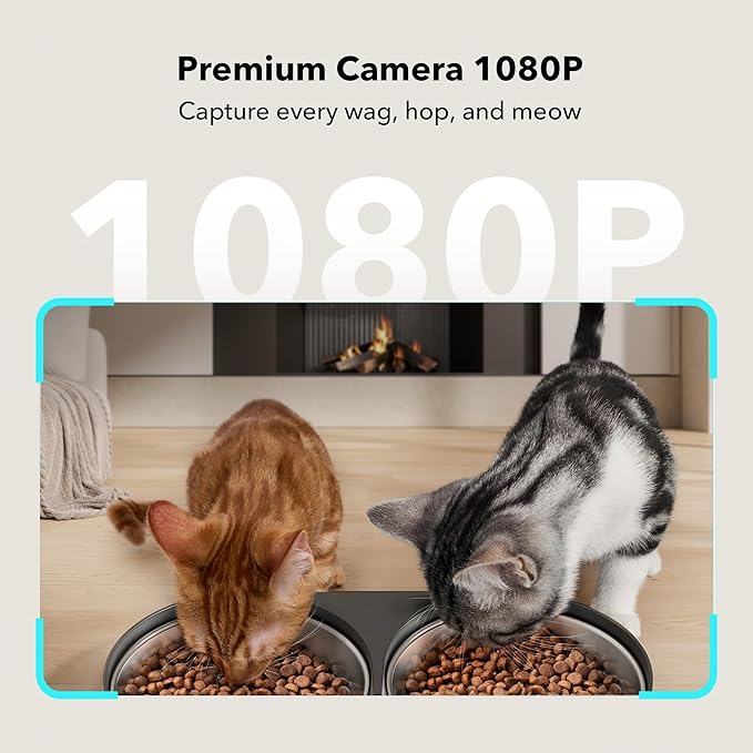 PETLIBRO Automatic Cat Feeder - Image 2