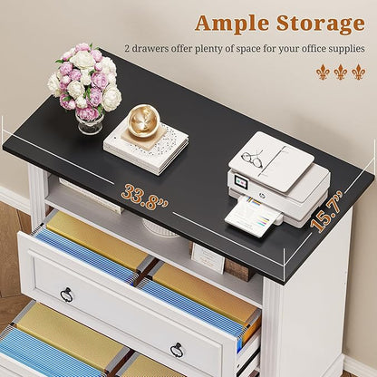 Itaar 2 Drawer File Cabinet, Farmhouse Filing Cabinet - Image 5
