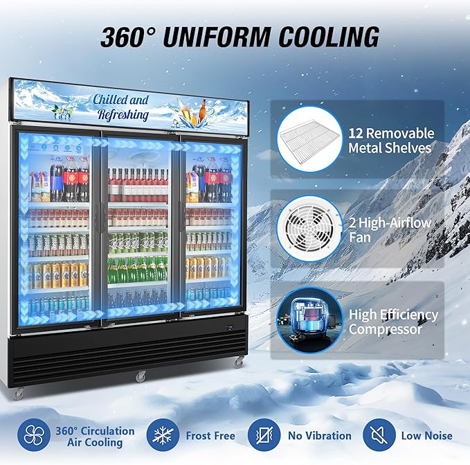 Commercial Beverage Refrigerator, Display Refrigerator - Image 3