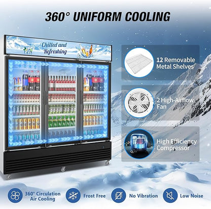 Commercial Beverage Refrigerator, Display Refrigerator - Image 3