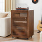 LEVNARY 5-Tier AV Media Cabinet by LEVNARY