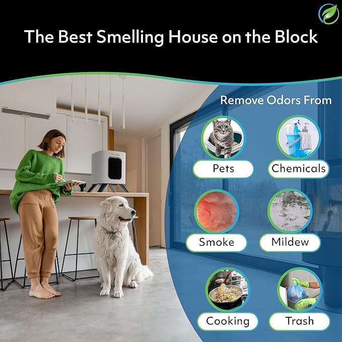 Air Oasis iAdapt 2.0 H13 HEPA Filter Air Purifier | Clean Air Starter Bundle | - Image 7