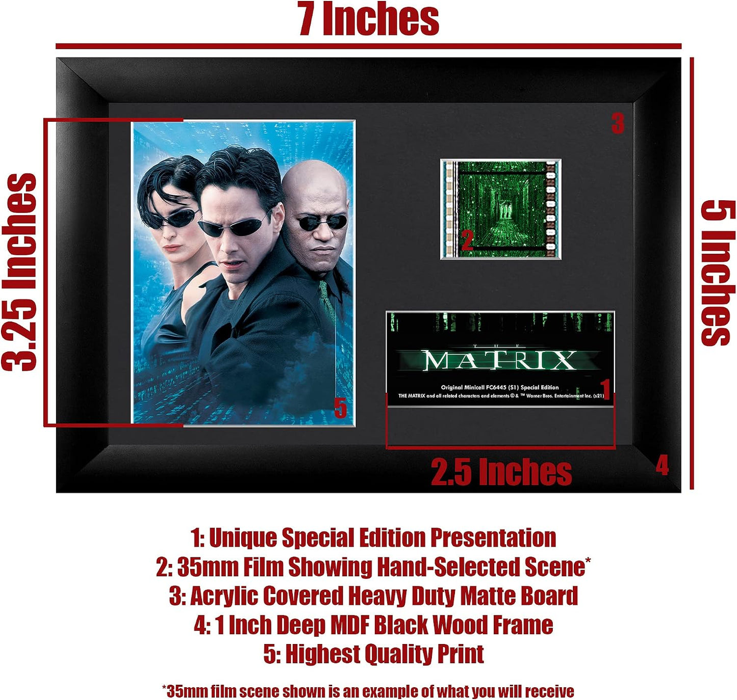 Trend Setters the Matrix Trinity 7 x 5 MiniCell FilmCells | MiniCell film collectible | Desk, shelf or office display | Giftable display piece