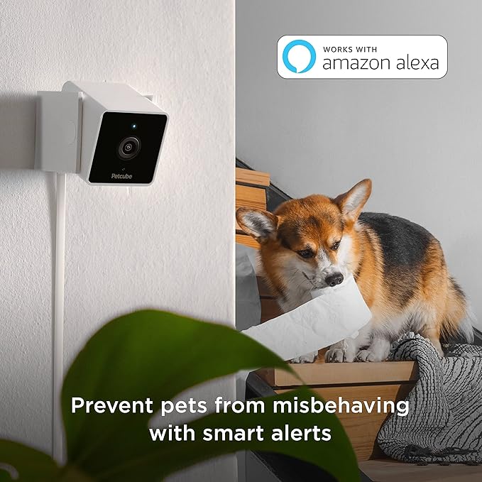 Petcube Cam Indoor Home Security Camera - Image 2