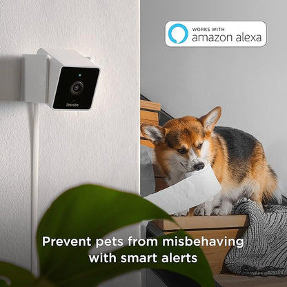 Petcube Cam Indoor Home Security Camera - Image 2