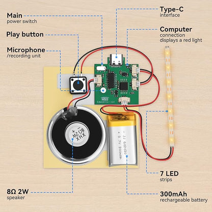 2PCS Customize Recording Module - Image 6