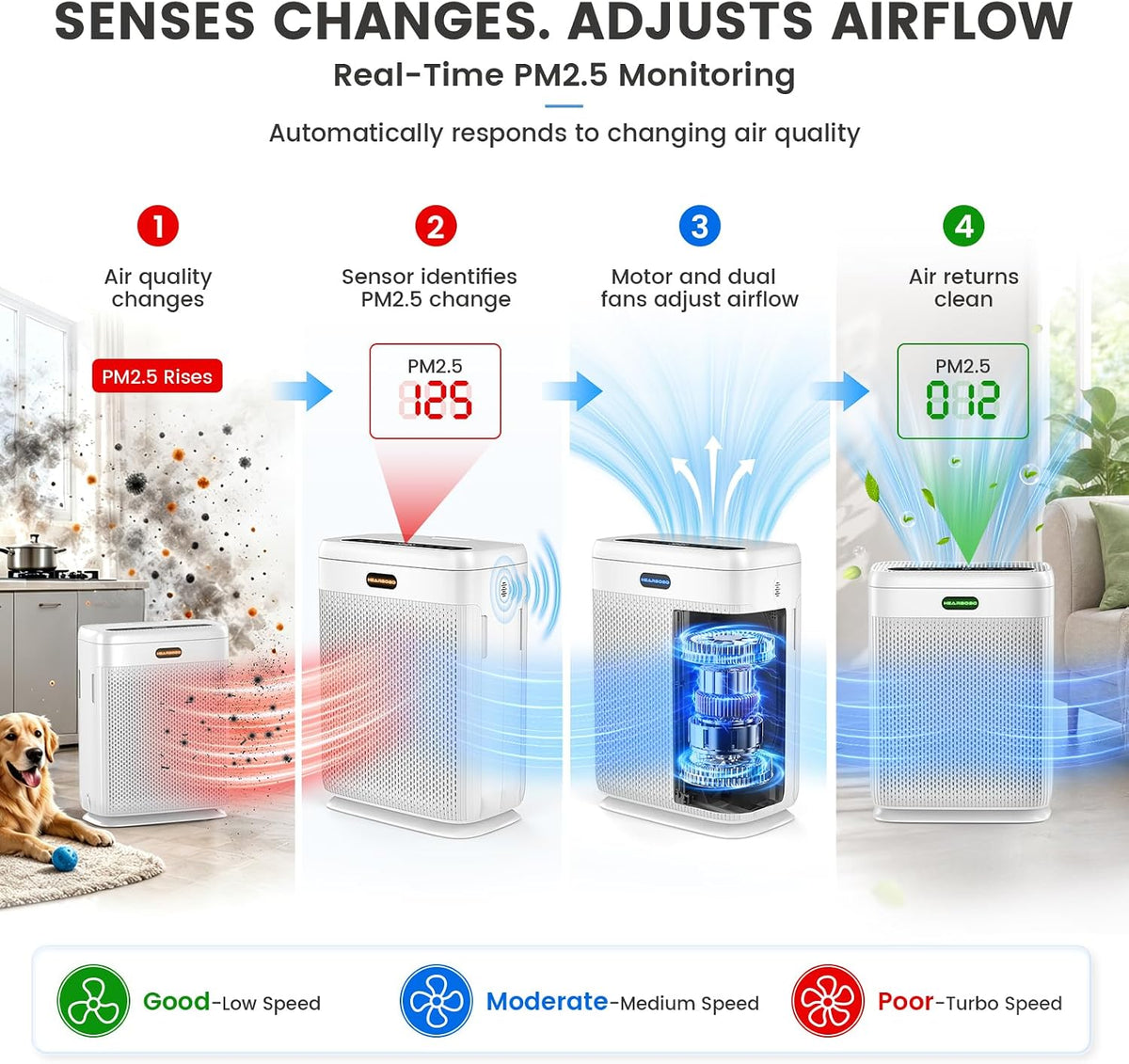 air purifiers for home large room up to showing dimensions