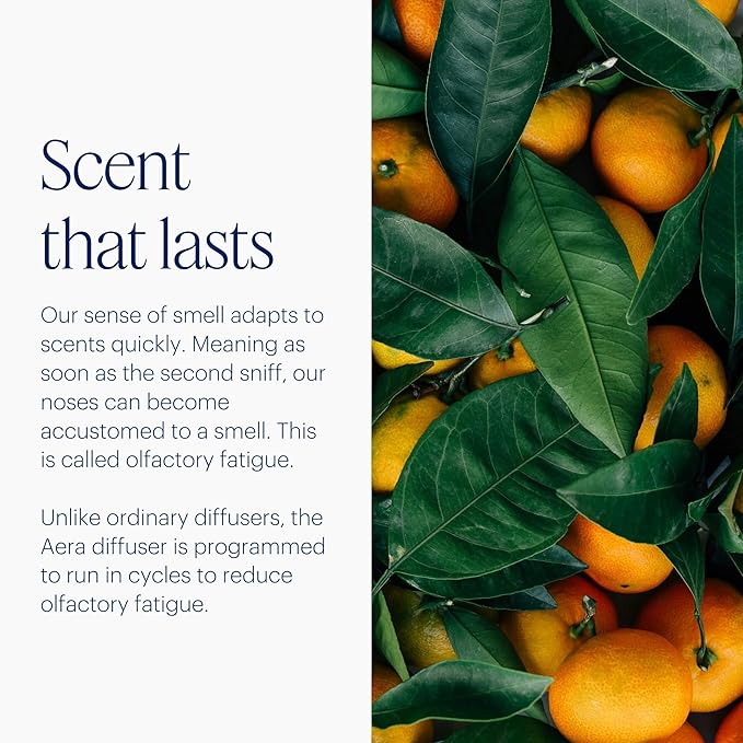 Aera Mini Home Fragrance Diffuser Plug-in: Smart Home App Aroma Control - Image 8