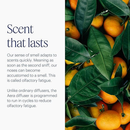 Aera Mini Home Fragrance Diffuser Plug-in: Smart Home App Aroma Control - Image 8