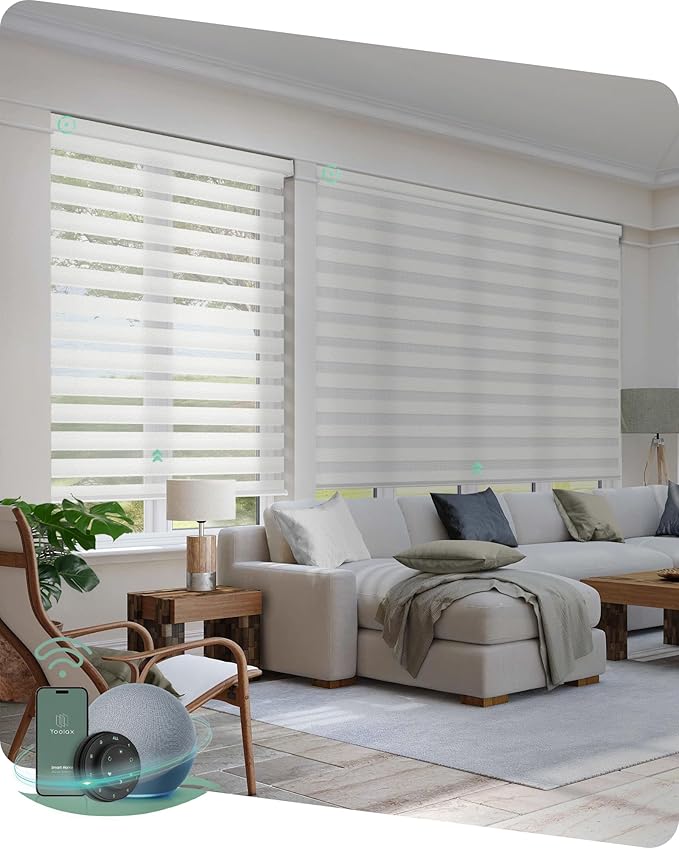 Yoolax Motorized Zebra Blinds Compatible by Yoolax