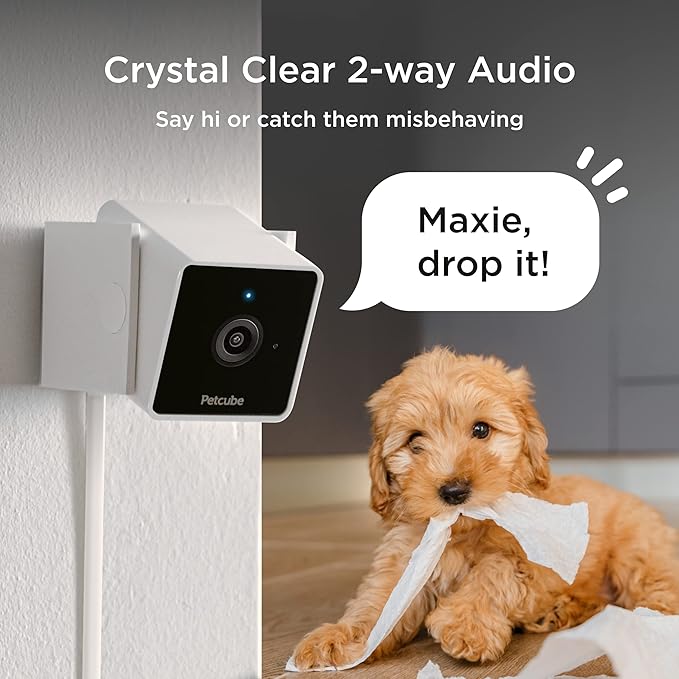 Petcube Cam | Indoor Wi-Fi Pet and Security Camera - Image 3