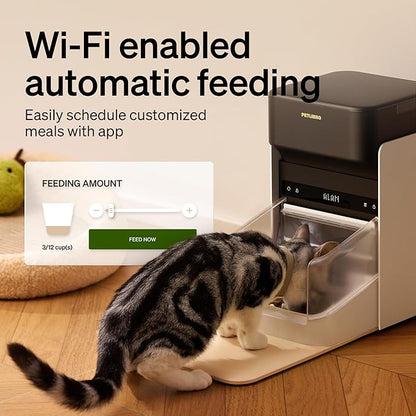 PETLIBRO RFID Automatic Cat Feeder, Collar Tag-Activated Personalized Meals - Image 7