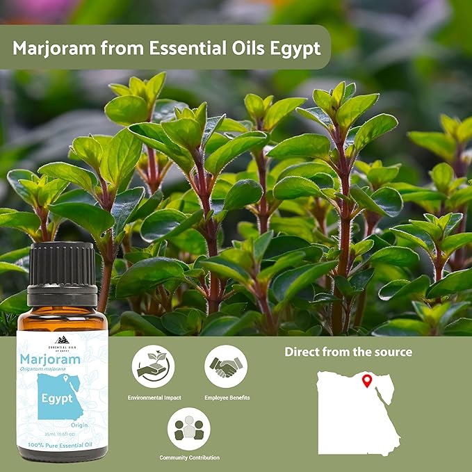 Marjoram Essential Oil - Image 5
