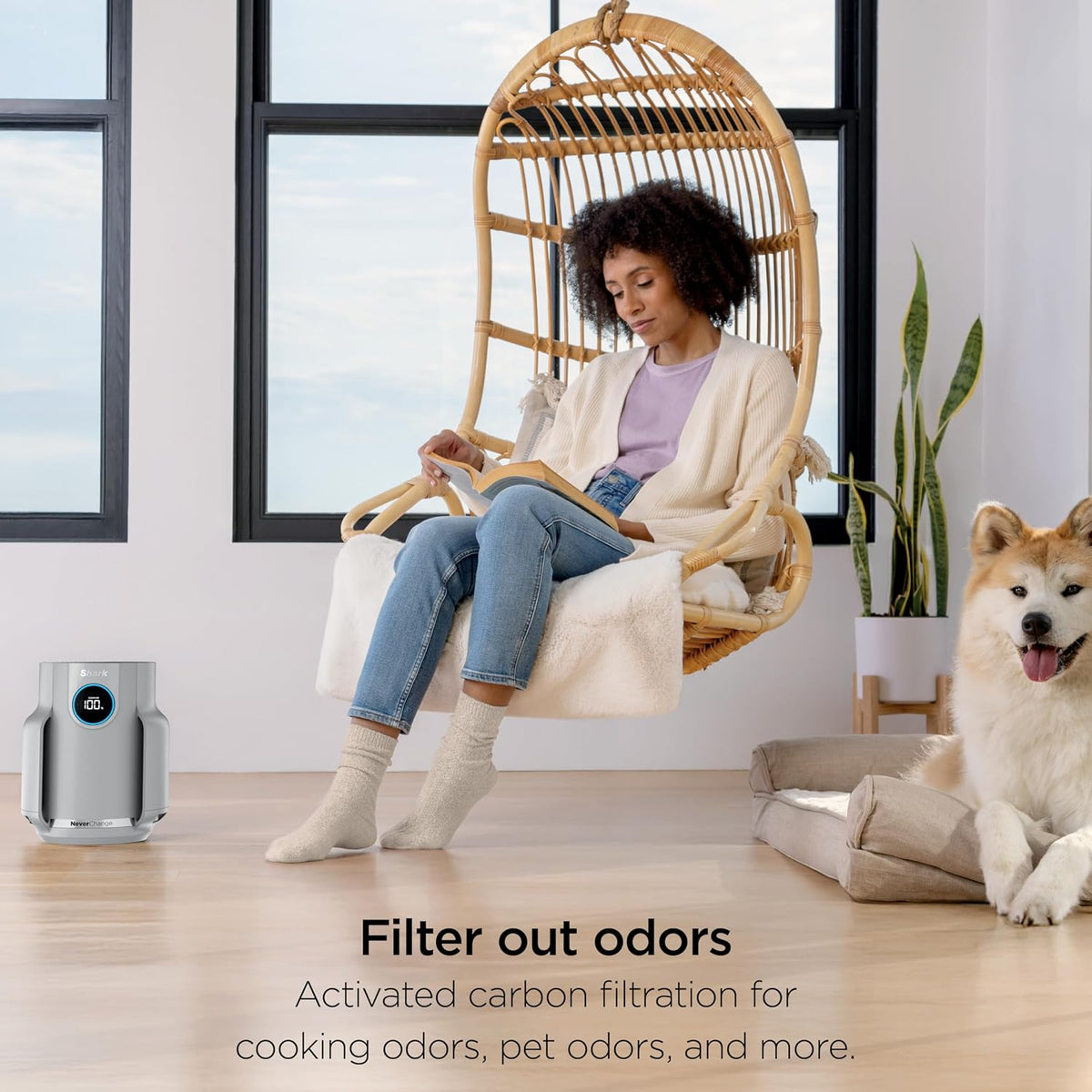 shark neverchange compact pro air purifier, hp071brn, winter on a desk or shelf