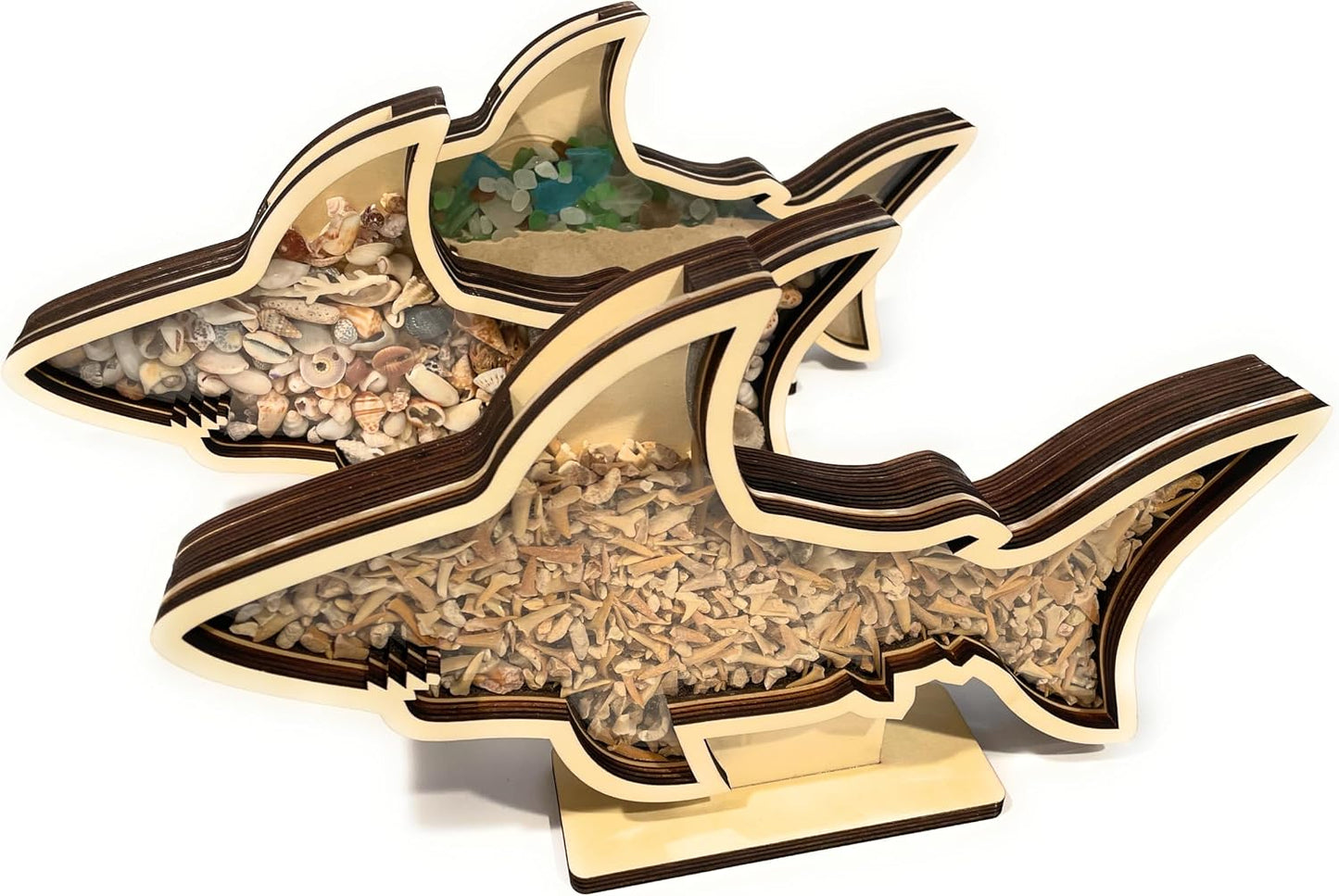 Shark Tooth Display Case XL 14” – Megalodon-Shaped Shark Teeth Holder for Collectors – Wooden Display for Fossilized Shark Teeth – Shark Tooth Holder Coastal Décor by Fossil King