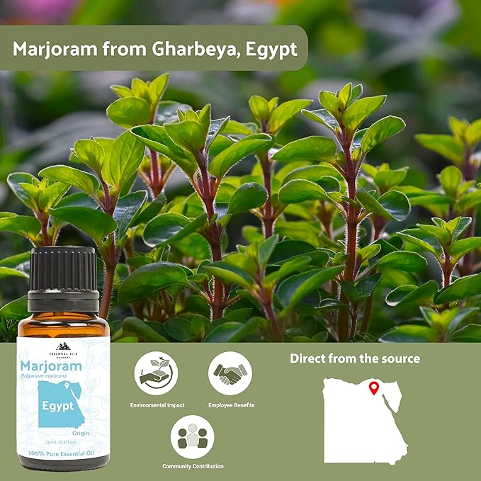 Marjoram Essential Oil - Image 3