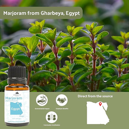 Marjoram Essential Oil - Image 3