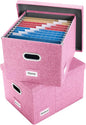 PRANDOM File Organizer Box by Prandom