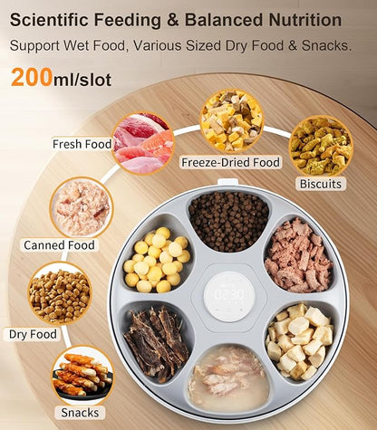 Casfuy Automatic Cat Feeder Cordless - Image 3