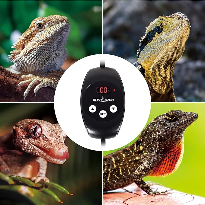 REPTIZOO Dimming Thermostat, PID Temperature Controller - Image 8