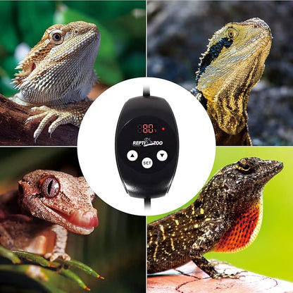 REPTIZOO Dimming Thermostat, PID Temperature Controller - Image 8