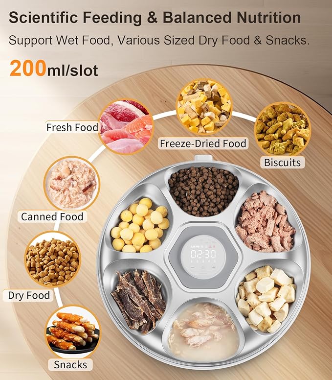 Casfuy Automatic Cat Feeder Cordless - Image 3