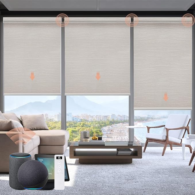Motorized Blinds Roller Shade by Canisteo