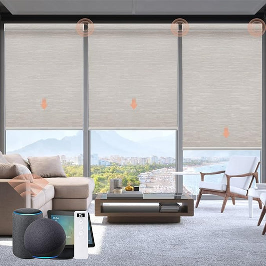 Motorized Blinds Roller Shade by Canisteo