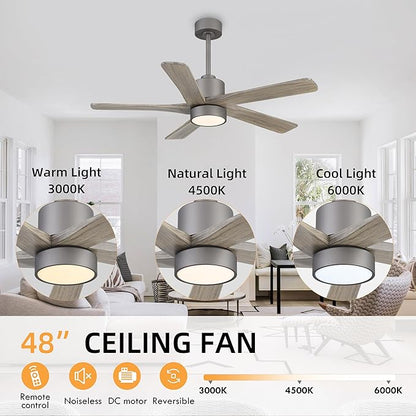 WINGBO 48 Inch DC Ceiling Fan - Image 5