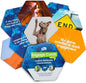 We! Engage Cards by WeandMeInc