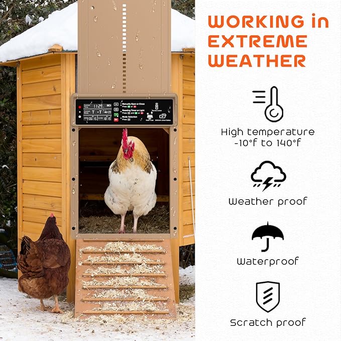 Asfrost Automatic Chicken Coop Door Solar Powered Automatic Chicken Door - Image 4