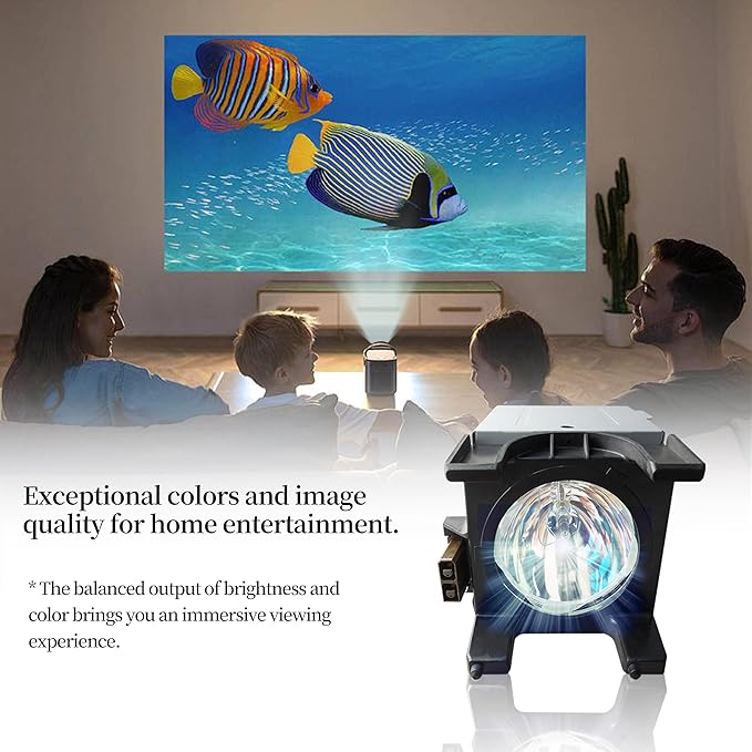 SORNEICDR Y196-LMP Replacement Projector Lamp Bulb Compatible - Image 5