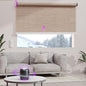 Astomi Motorized Roller Shades for Windows, Smart Blinds, Voice Control by Astomi