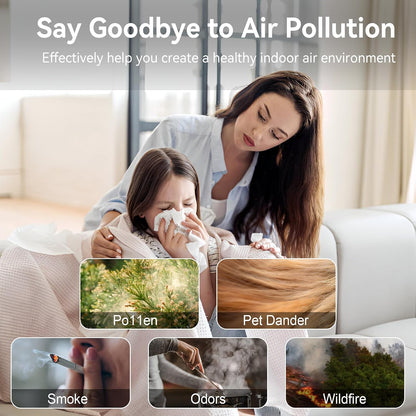 air purifiers for home large room up to, package contents