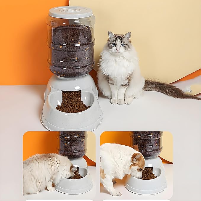 Automatic Dog Feeders - Image 7