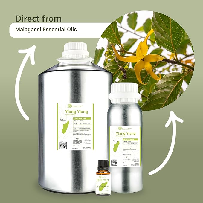Ylang Ylang Essential Oil - Image 4