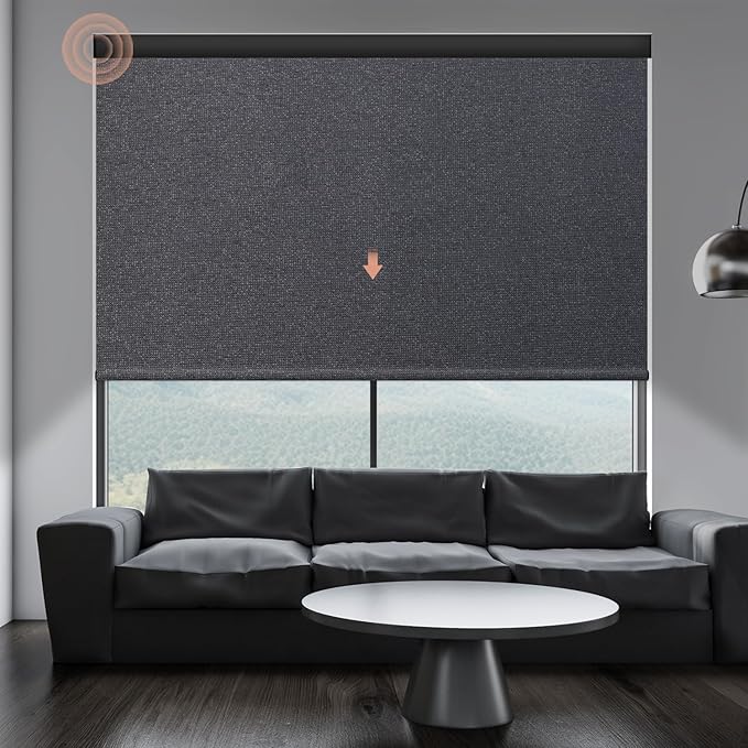 Motorized Blinds Roller Shade by Canisteo