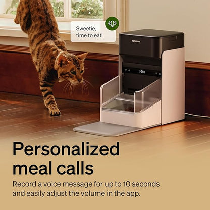 PETLIBRO RFID Automatic Cat Feeder, Collar Sensor-Activated Personalized Meals - Image 10