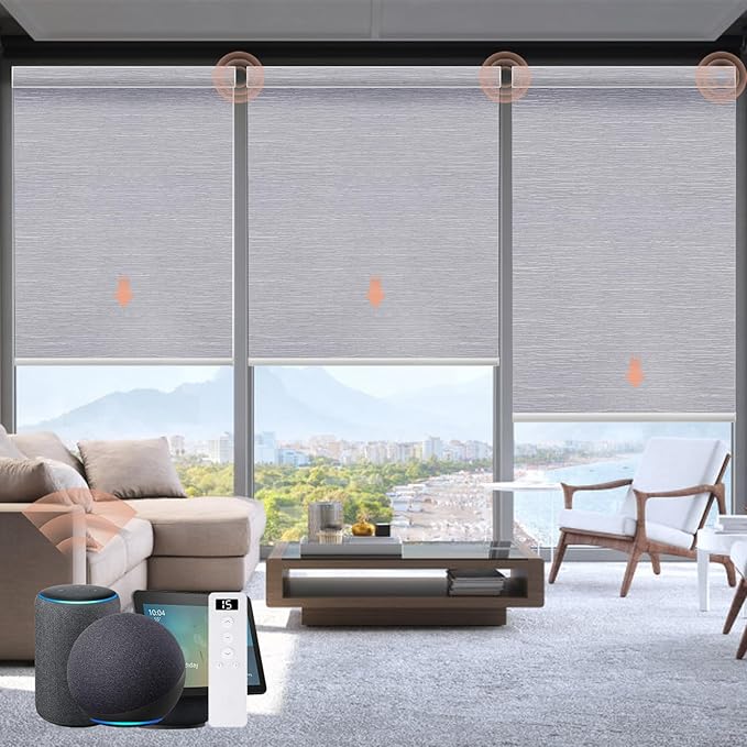 Motorized Blinds Roller Shade by Canisteo
