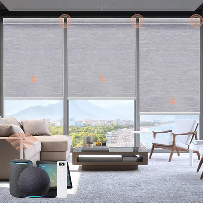 Motorized Blinds Roller Shade by Canisteo